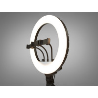 Селфи лампа с пультом управления 36см без штатива 220В Diasha SL-RL-14