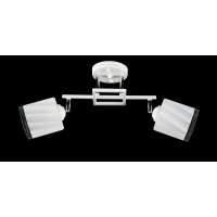 Люстра с плафонами  L07472/2 (WHITE+CHROME) Splendid-Ray
1002549
