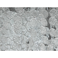 Підвісна кришталева люстра Серія Гліцинія хром 8 ламп підвіс на тросах Diasha 602-600CH