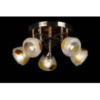 Люстра с плафонами Splendid-Ray L13197(FGD+BR)