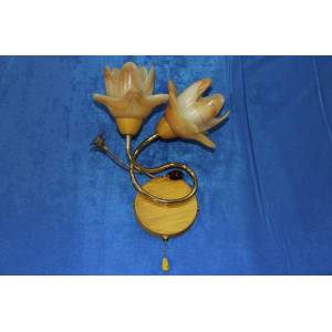 Бра с плафонами B04746/2 (FGD) Splendid-Ray
18811631