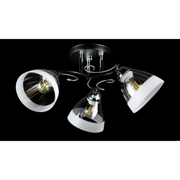 Люстра с плафонами  L8332/3B (BK+CR) Splendid-Ray
234478