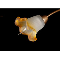 Люстры потолочные с пафоном Splendid-Ray 192161