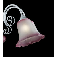 Люстра с плафонами Splendid-Ray 212048(MIX)