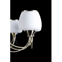 Люстра с плафонами Splendid-Ray L 210513(AB)