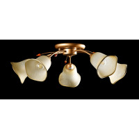 Люстра с плафонами  L90598/5 Splendid-Ray
192004