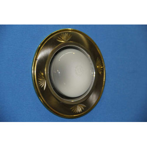 Точечный светильник O-1014 [HR+GD] Splendid-Ray
16981