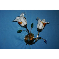 Бра с плафонами 8296/2 (FGD) Splendid-Ray
2621