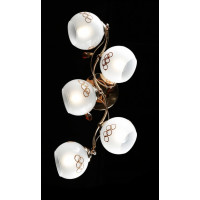 Люстра с плафонами Splendid-Ray 128065 (FGD+BR)