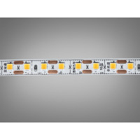 LED стрічка 24В, 120 діодів на метр, 8мм, теплий Diasha P24-2835-120-WW-20-8