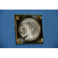 Точечный светильник OLN305 (BK+GD) Splendid-Ray
999928