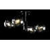 Люстра с плафонами  L91191/4 (BLK+CR) Splendid-Ray
0260800