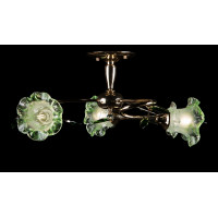 Люстра с плафонами Splendid-Ray 880086(FGD+MIX(PK1+GR1)