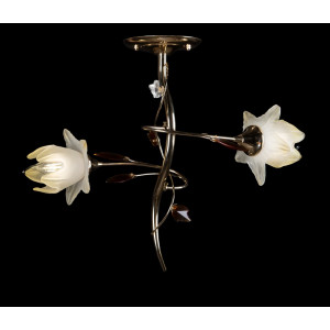 Люстра с плафонами  L311/2 (FGD+BRN) Splendid-Ray
880212