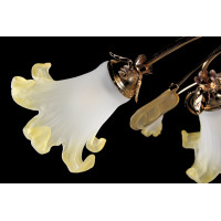 Люстра с плафонами  L9001/6 [GD] Splendid-Ray
998339