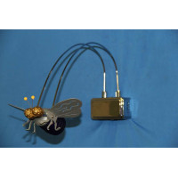 Галогеновое бра BWLD40/1 (BL) (Муха) Splendid-Ray
85975