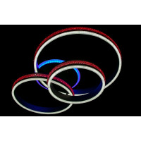 Люстра потолочная светодиодная led с пультом Linisoln 55042-3 CF