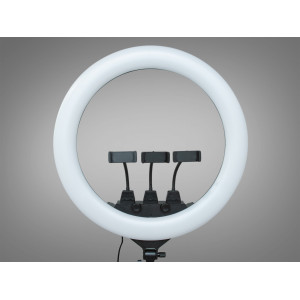 Селфі лампа з пультом, 55см, без штатива, живлення 220В Diasha SL-ZB-F488