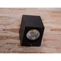 Фасадный светильник Diasha DFB-8001BL CW