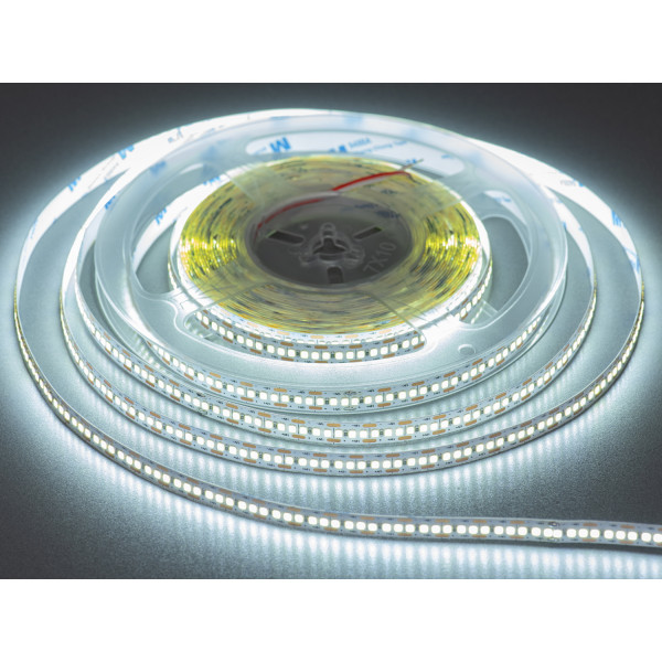 LED стрічка 12В, 240 діодів на метр, 10мм, холодний Diasha P12-2835-240-CW-20-10