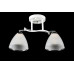 Люстра с плафонами  L07410/2 (WHITE+CHROME) Splendid-Ray
2549