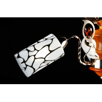 Люстра с плафонами Splendid-Ray 882355(FGD)