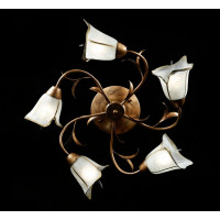 Люстра с плафонами Splendid-Ray L 192383