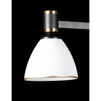 Люстра с плафонами  LGH50230A/5 (BK+FG) Splendid-Ray
286172