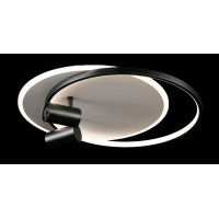 Светодиодная люстра L2451/480/2+2 LED (WHITE+BLACK) Splendid-Ray
2624