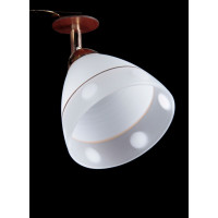 Люстры потолочные с пафоном Splendid-Ray 234300