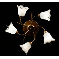 Люстра с плафонами Splendid-Ray 882475