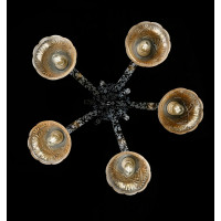 Люстра с плафонами Splendid-Ray L 212943