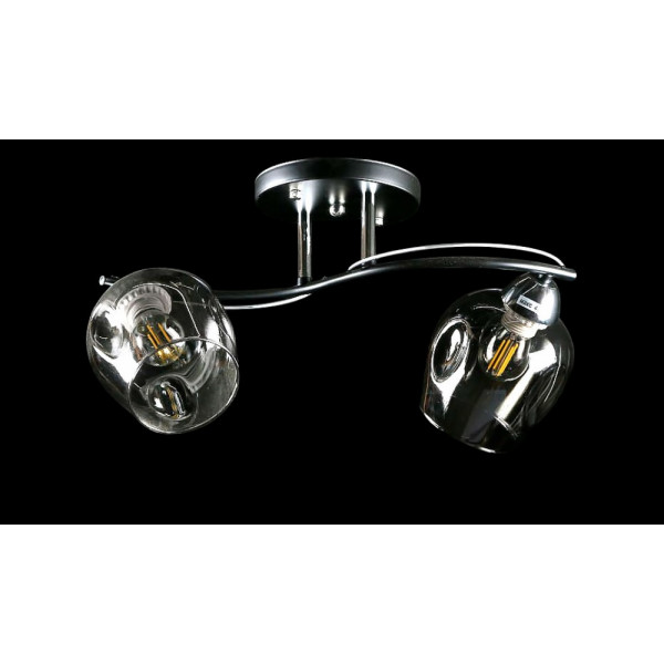 Люстра с плафонами  L8208/2A (BK+CR) Splendid-Ray
234518