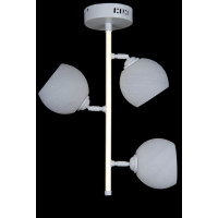 Люстры потолочные с пафоном Splendid-Ray 1002723 (WHITE)