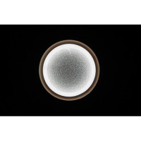 Потолочный светодиодный светильник Linisoln 4017-200