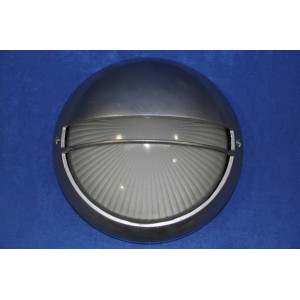 Фасадный светильник U4036L [GE] Splendid-Ray
100850