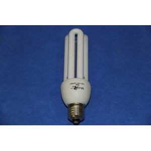 Энергосберегающая лампа ELT  30W 220V E27 WHITE Splendid-Ray
4898