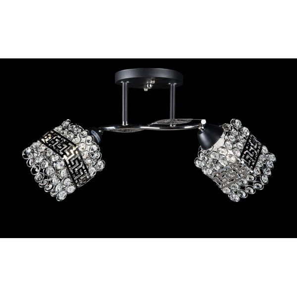 Люстра с плафонами Splendid-Ray 280090/2 (CR+BK)