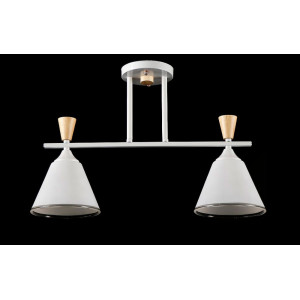 Люстра с плафонами  L6019/2 (WHI) Splendid-Ray
260745