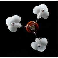 Люстра с плафонами Splendid-Ray 880841(FGD+RED+WOOD)