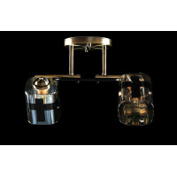 Люстра с плафонами  L91195/2 (AB+BLK) Splendid-Ray
0260811