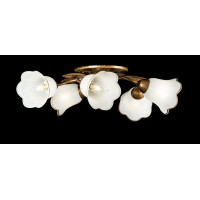 Люстра с плафонами Splendid-Ray 882475