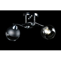 Люстра с плафонами  L7299/2 (CR+BK) Splendid-Ray
234895