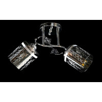 Люстра с плафонами  L6982B/2 (CR) Splendid-Ray
260818