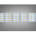 LED стрічка 24в, 480 діодів на метр, 30мм, нейтральний Diasha N24-2835-480-NW-20-30