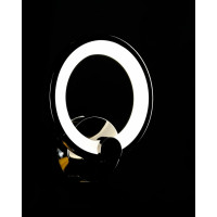 Светодиодная бра BK237/1 LED (ZBK) Splendid-Ray
2850139