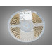LED стрічка 12В, 120 діодів на метр, 5мм, холодний Diasha N12-2835-120-CW-20-5