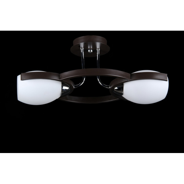 Люстра в спальню потолочная с плафонами Splendid-Ray 212675