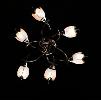 Люстра с плафонами Splendid-Ray 192029