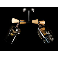 Люстра с плафонами  L6046/2 (BLK+FG) Splendid-Ray
260772